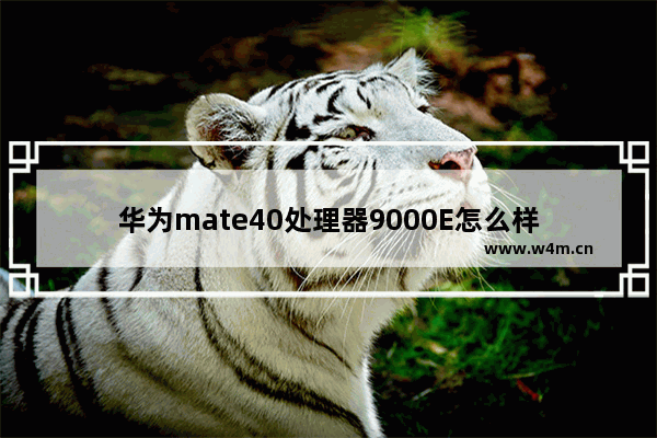 华为mate40处理器9000E怎么样