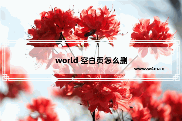 world 空白页怎么删