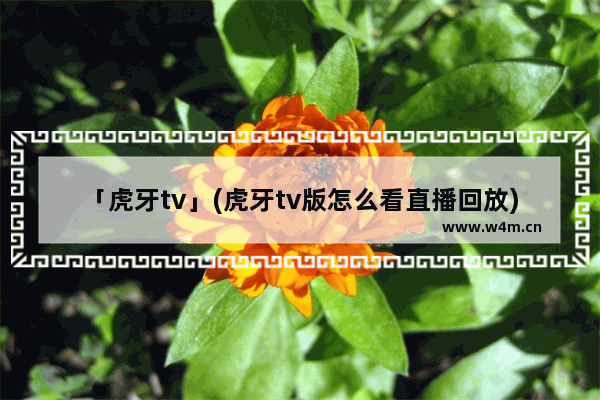 「虎牙tv」(虎牙tv版怎么看直播回放)