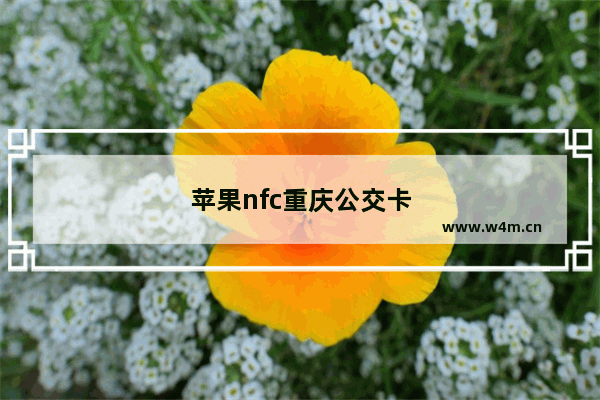 苹果nfc重庆公交卡