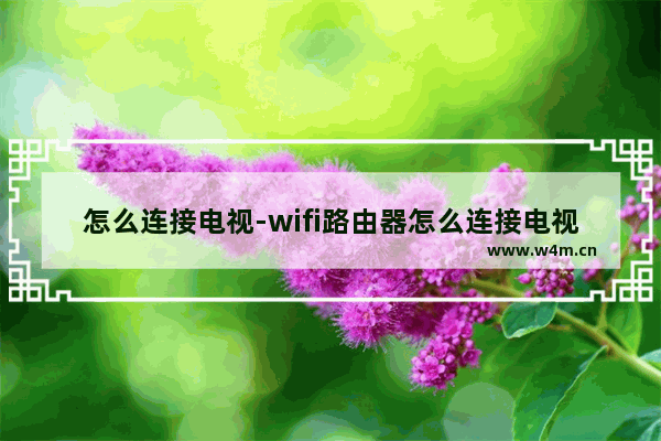 怎么连接电视-wifi路由器怎么连接电视