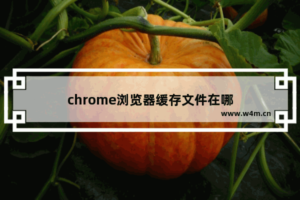 chrome浏览器缓存文件在哪