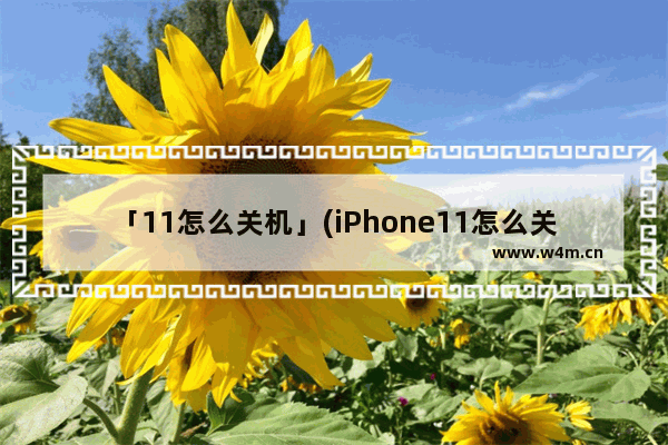 「11怎么关机」(iPhone11怎么关机后开启查找)