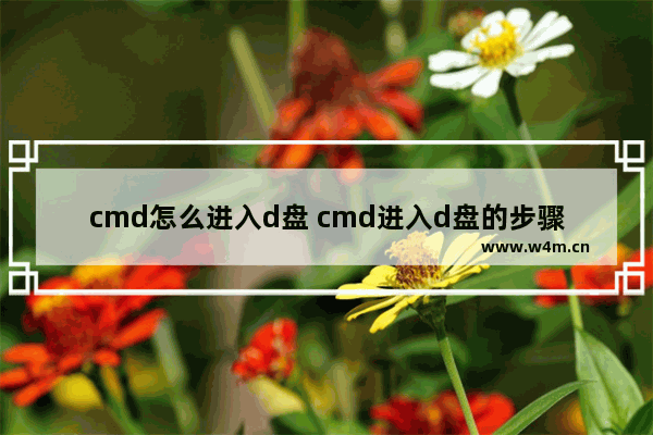 cmd怎么进入d盘 cmd进入d盘的步骤