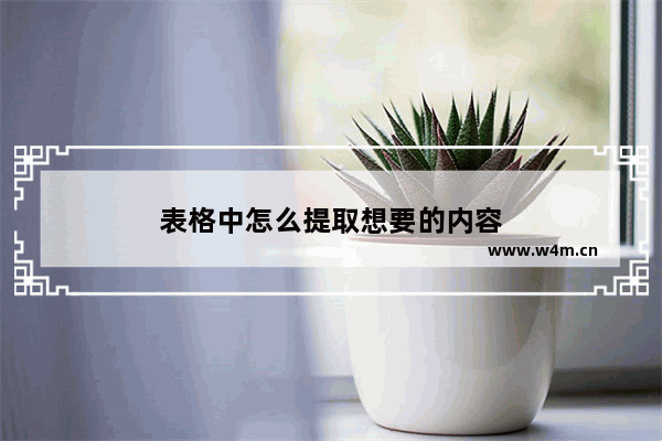 表格中怎么提取想要的内容