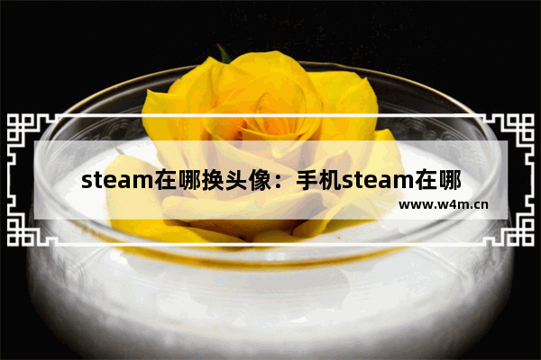 steam在哪换头像：手机steam在哪换头像