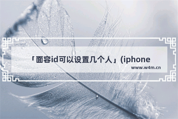 「面容id可以设置几个人」(iphone 面容id可以设置几个人)