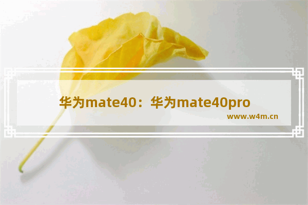 华为mate40：华为mate40pro值得买吗