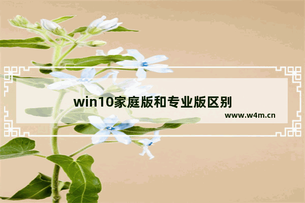 win10家庭版和专业版区别