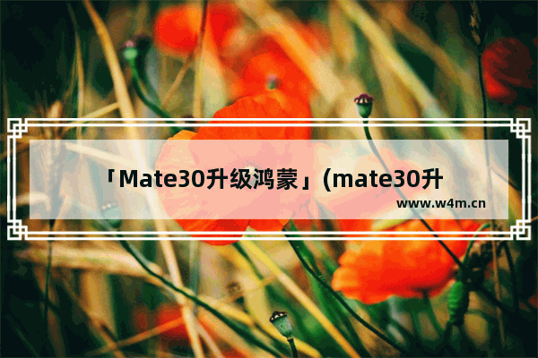 「Mate30升级鸿蒙」(mate30升级鸿蒙系统版本要升高)