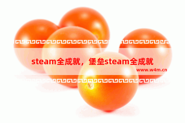 steam全成就，堡垒steam全成就