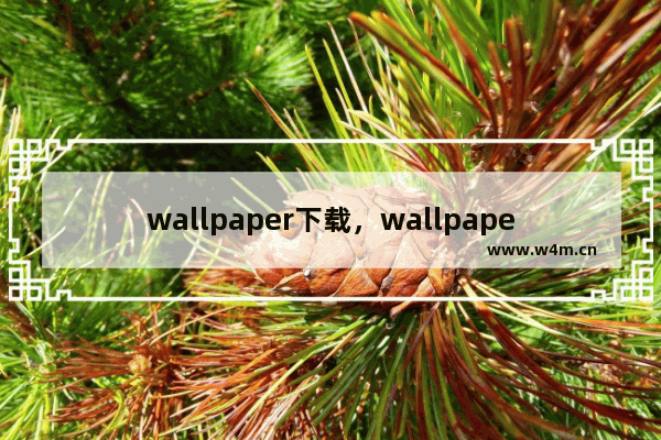 wallpaper下载，wallpaper下载怎么不换