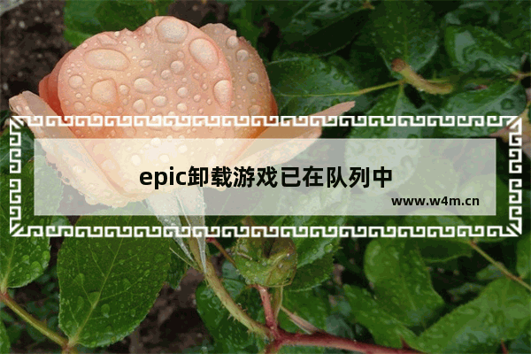 epic卸载游戏已在队列中