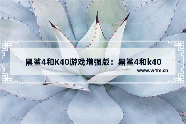 黑鲨4和K40游戏增强版：黑鲨4和k40游戏增强版哪个信号好