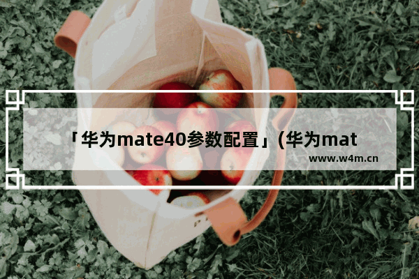 「华为mate40参数配置」(华为mate40参数配置详细)