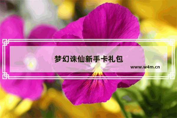 梦幻诛仙新手卡礼包