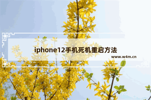 iphone12手机死机重启方法