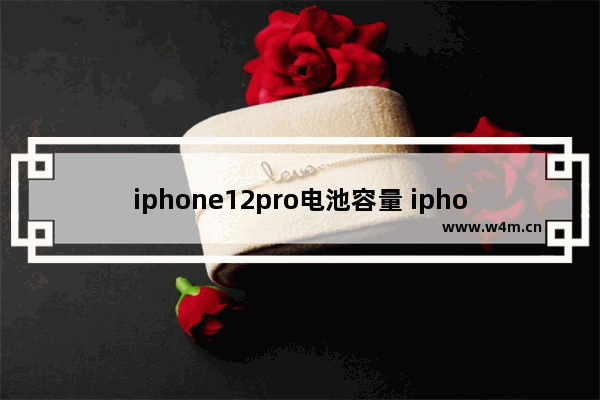 iphone12pro电池容量 iphone12pro电池容量多大