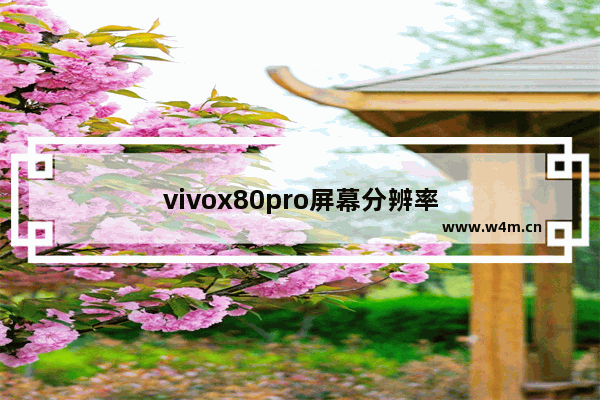 vivox80pro屏幕分辨率