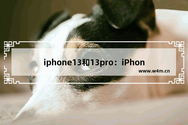 iphone13和13pro：iPhone13和13pro外观