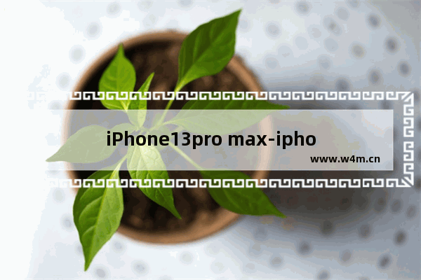 iPhone13pro max-iphone13pro max强制关不了机