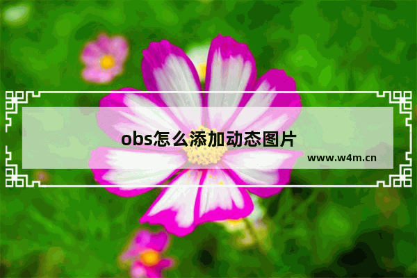 obs怎么添加动态图片