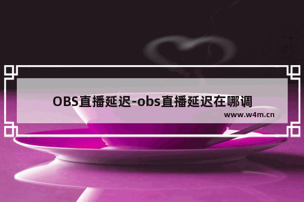 OBS直播延迟-obs直播延迟在哪调