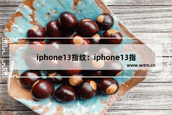 iphone13指纹：iphone13指纹锁