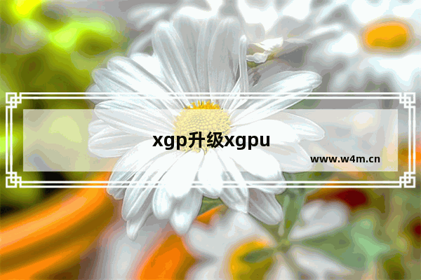 xgp升级xgpu