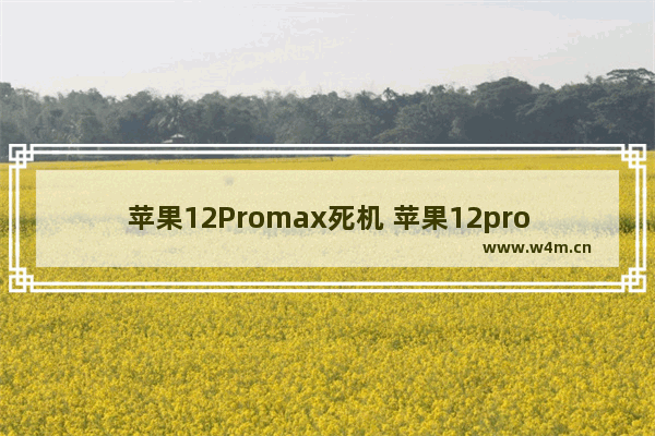 苹果12Promax死机 苹果12promax死机重启方法