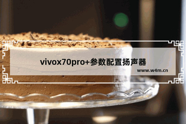 vivox70pro+参数配置扬声器