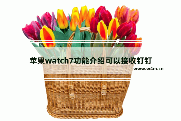 苹果watch7功能介绍可以接收钉钉