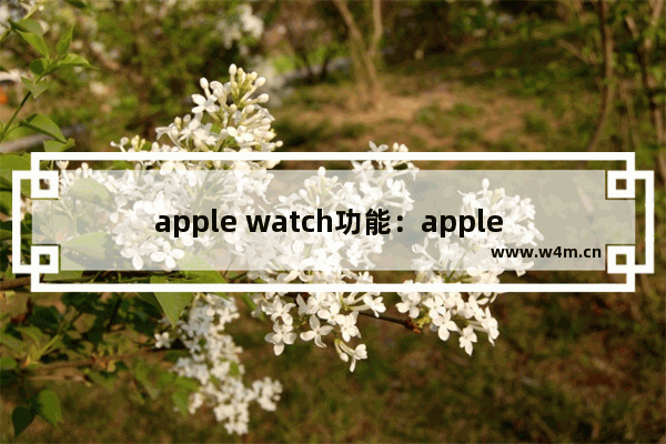 apple watch功能：apple watch功能栏 什么都没有