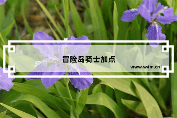 冒险岛骑士加点