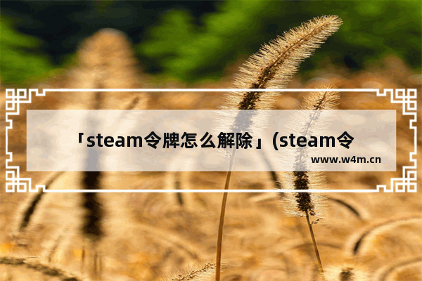 「steam令牌怎么解除」(steam令牌怎么解除手机号换了)