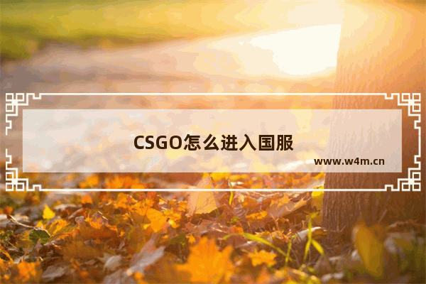 CSGO怎么进入国服