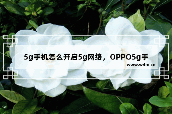 5g手机怎么开启5g网络，OPPO5g手机怎么开启5g网络