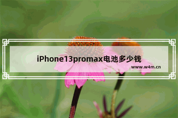 iPhone13promax电池多少钱