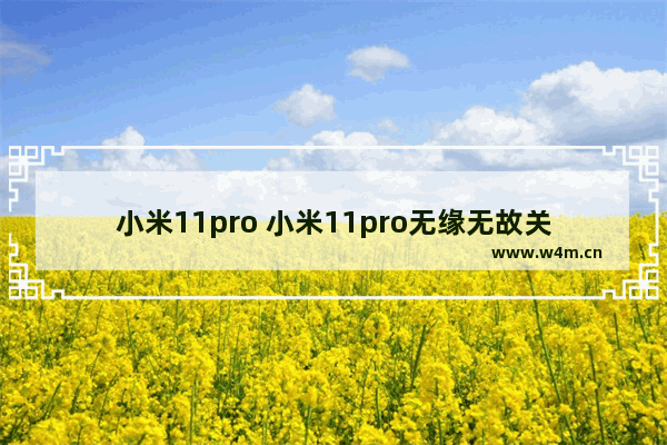 小米11pro 小米11pro无缘无故关机