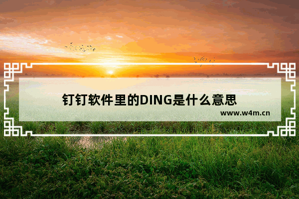 钉钉软件里的DING是什么意思