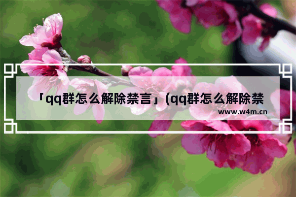 「qq群怎么解除禁言」(qq群怎么解除禁言所有人)