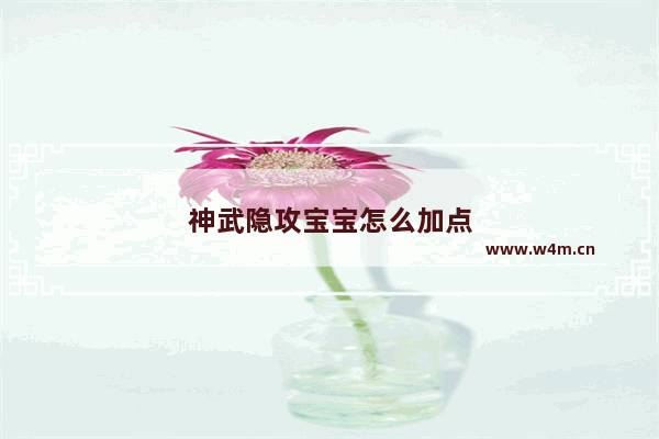 神武隐攻宝宝怎么加点