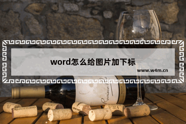 word怎么给图片加下标