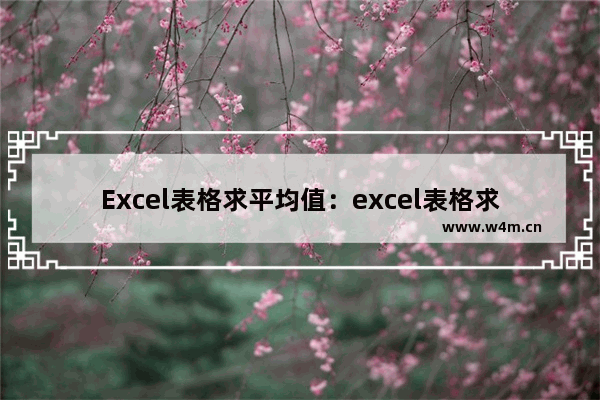 Excel表格求平均值：excel表格求平均值显示数据1