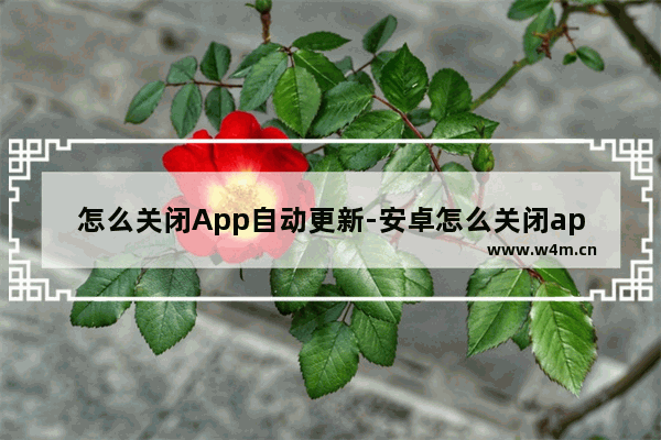 怎么关闭App自动更新-安卓怎么关闭app自动更新功能