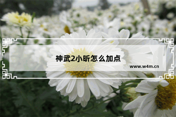 神武2小昕怎么加点