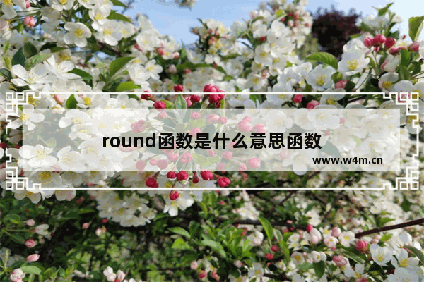 round函数是什么意思函数