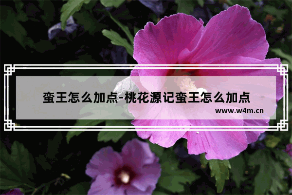 蛮王怎么加点-桃花源记蛮王怎么加点