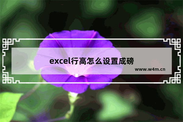 excel行高怎么设置成磅