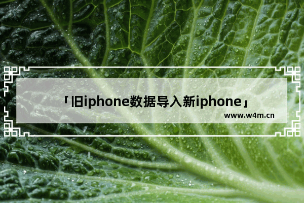 「旧iphone数据导入新iphone」(旧iphone数据导入新iphone13失败)